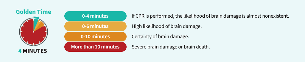Golden Time / 4MINUTES / 0-4 minutes : If CPR is performed, the likelihood of brain damage is almost nonexistent. 0-6 minutes : High likelihood of brain damage. 0-10 minutes : Certainty of brain damage. More than 10 minutes : Severe brain damage or brain death.