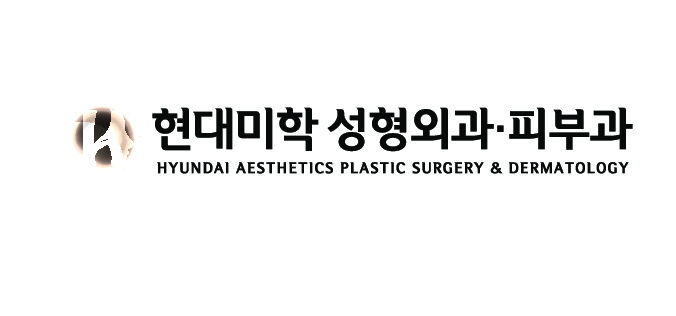 Hyundai Aesthetics Plastic Surgery Clinic 정보 보기